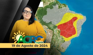 Bom Dia Agro