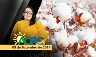 Bom Dia Agro