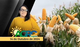 Bom Dia Agro