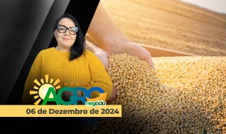 Bom Dia Agro - Com Carla Mendes