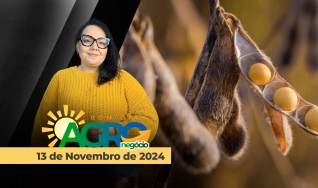 Bom Dia Agro