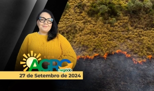 Bom Dia Agro