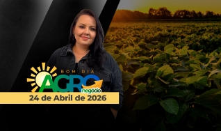 Bom Dia Agro - Com Carla Mendes