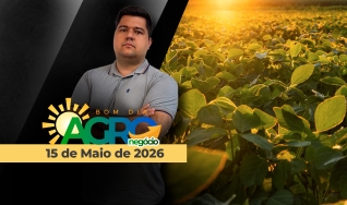 Bom Dia Agro - Com Carla Mendes