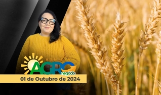 Bom Dia Agro