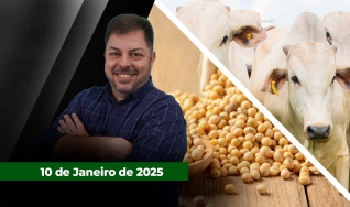 Fechamento de Mercado - Com Aleksander Horta