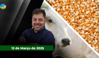 Fechamento de Mercado - Com Aleksander Horta