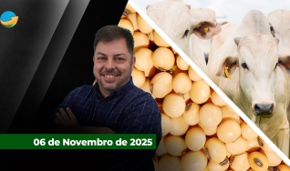 Fechamento de Mercado - Programa Completo