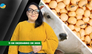 Fechamento de Mercado - Programa Completo