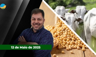 Fechamento de Mercado - Programa Completo