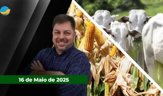 Fechamento de Mercado - Programa Completo