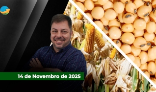 Fechamento de Mercado - Programa Completo