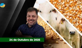 Fechamento de Mercado - Programa Completo