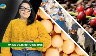 Fechamento de Mercado - Programa Completo