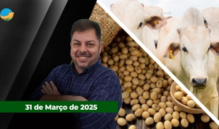 Fechamento de Mercado - Com Aleksander Horta