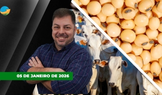 Fechamento de Mercado - Programa Completo