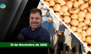 Fechamento de Mercado - Programa Completo