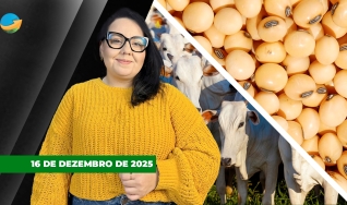 Fechamento de Mercado - Programa Completo