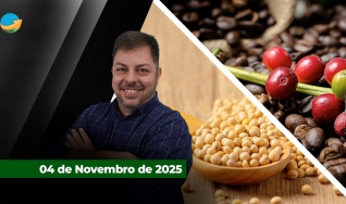 Fechamento de Mercado - Programa Completo