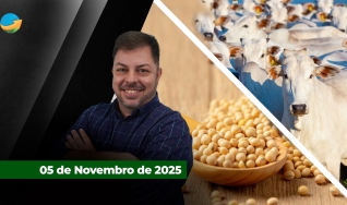 Fechamento de Mercado - Programa Completo