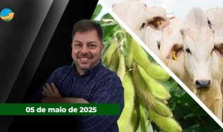 Fechamento de Mercado - Programa Completo