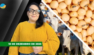Fechamento de Mercado - Programa Completo