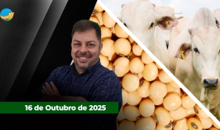 Fechamento de Mercado - Programa Completo