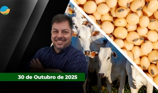 Fechamento de Mercado - Programa Completo