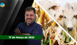 Fechamento de Mercado - Com Aleksander Horta