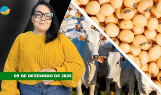 Fechamento de Mercado - Programa Completo