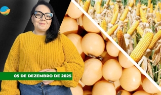 Fechamento de Mercado - Programa Completo