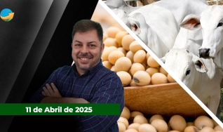 Fechamento de Mercado - Com Aleksander Horta