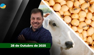 FECHAMENTO DE MERCADO