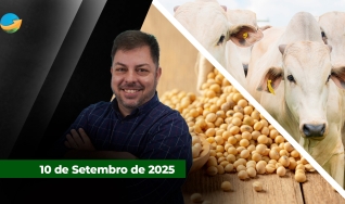 Fechamento de Mercado - Programa Completo