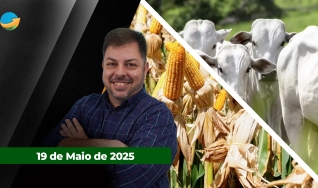 Fechamento de Mercado - Programa Completo