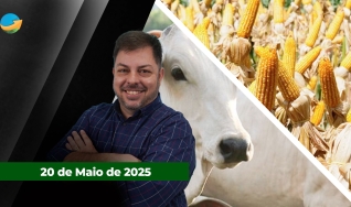 Fechamento de Mercado - Programa Completo