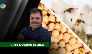 Fechamento de Mercado - Programa Completo