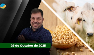 Fechamento de Mercado - Programa Completo