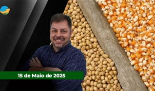 Fechamento de Mercado - Programa Completo