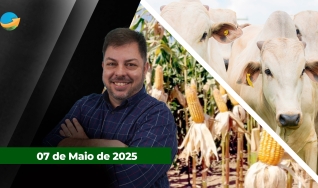 Fechamento de Mercado - Programa Completo
