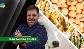 Fechamento de Mercado - Programa Completo