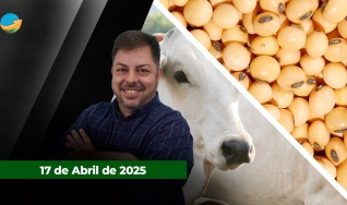 Fechamento de Mercado - Com Aleksander Horta