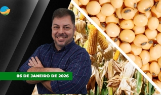 Fechamento de Mercado - Programa Completo