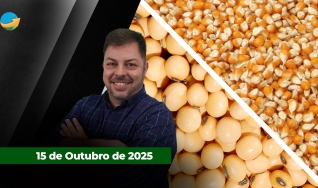 Fechamento de Mercado - Programa Completo