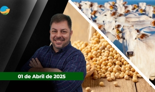 Fechamento de Mercado - Com Aleksander Horta