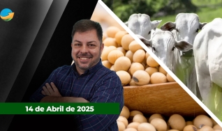 Fechamento de Mercado - Com Aleksander Horta