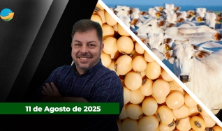 Fechamento de Mercado - Programa Completo