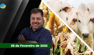 Fechamento de Mercado - Com Aleksander Horta