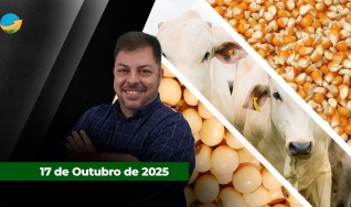 Fechamento de Mercado - Programa Completo