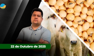 Fechamento de Mercado - Programa Completo